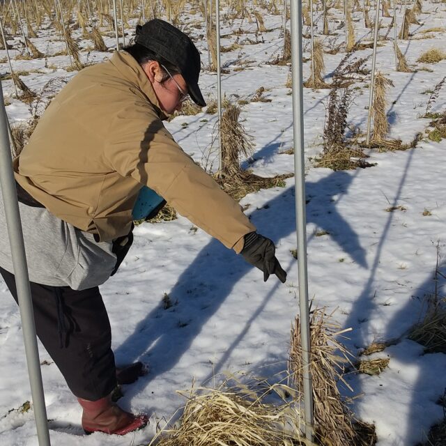 働くスタッフの声 #１１