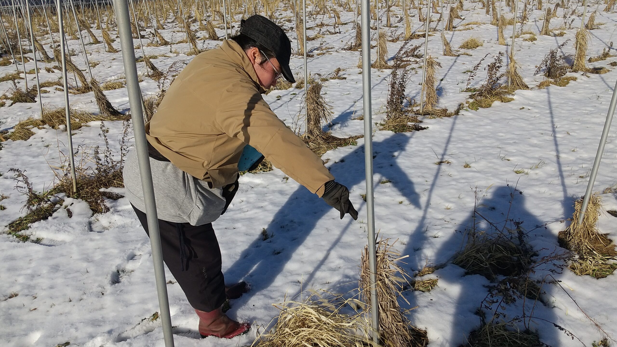 働くスタッフの声 #11