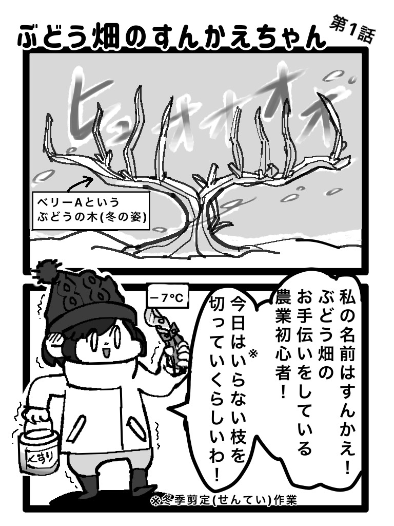 すんかえ　エッセイ2