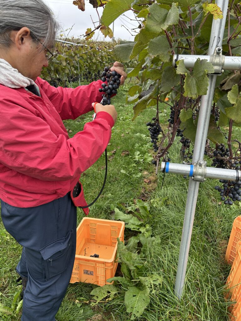 MBA 沖