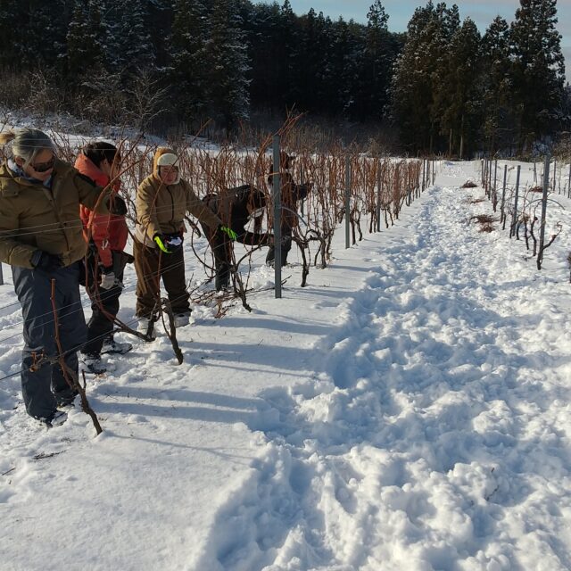 冬場の作業風景