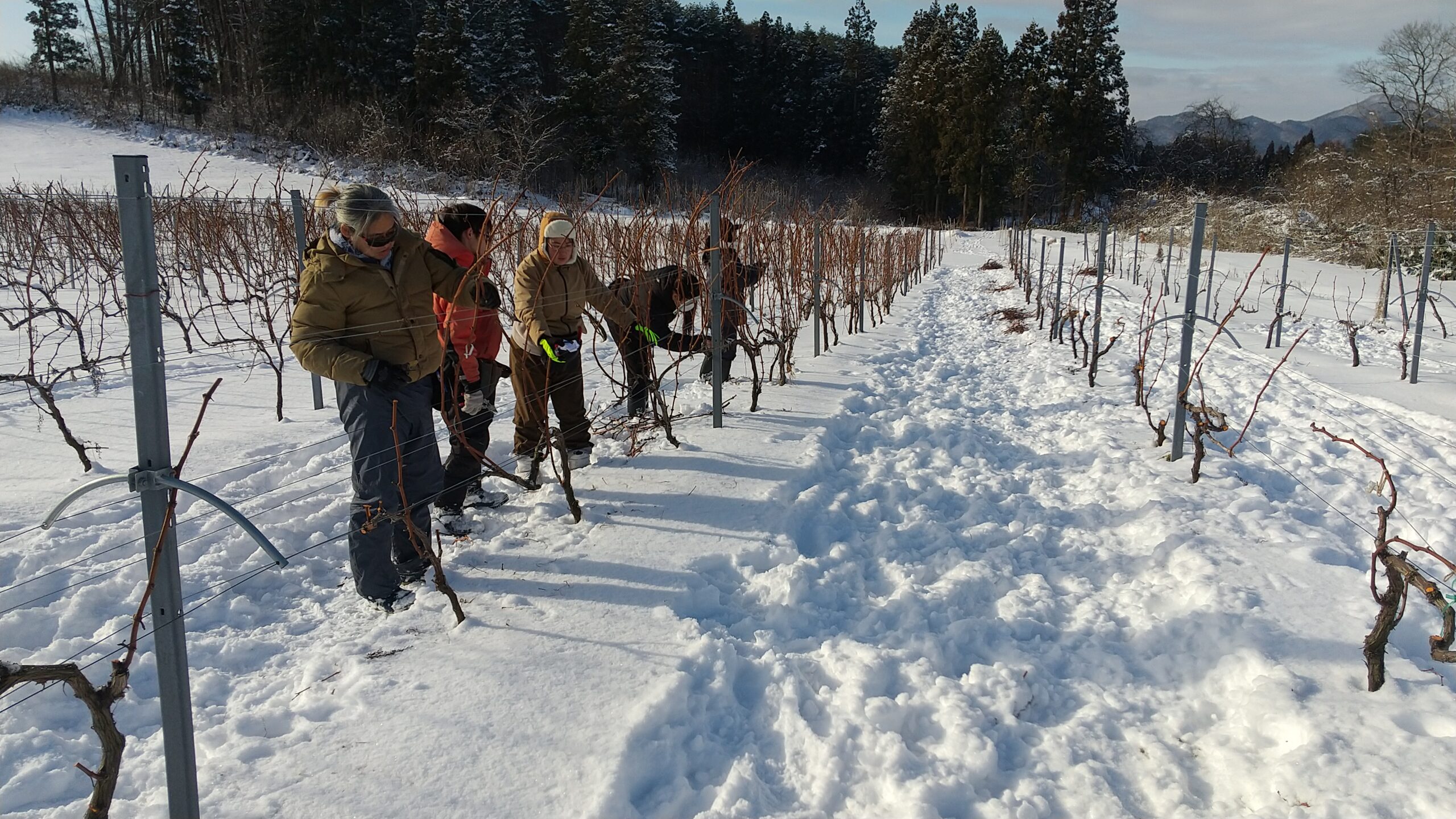 冬場の作業風景